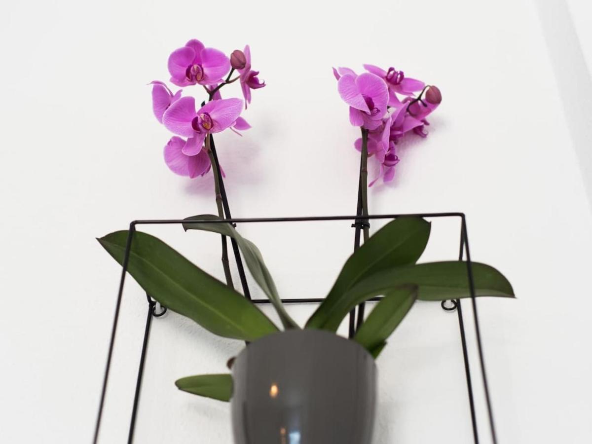Rosaleda Center Apartment มาลากา ภายนอก รูปภาพ